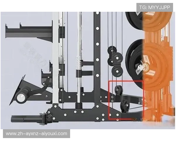 如何科学选择适合个人的健身器材设备和品牌