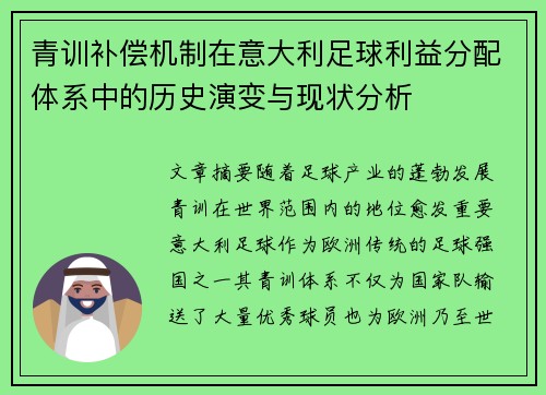 青训补偿机制在意大利足球利益分配体系中的历史演变与现状分析